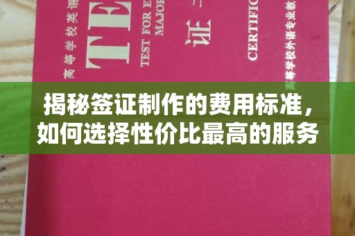 天台揭秘签证制作的费用标准，如何选择性价比最高的服务？