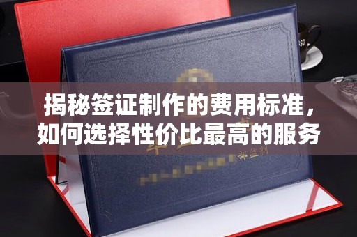 天台揭秘签证制作的费用标准，如何选择性价比最高的服务？