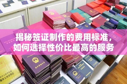天台揭秘签证制作的费用标准，如何选择性价比最高的服务？