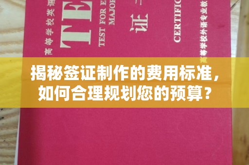 天台揭秘签证制作的费用标准，如何合理规划您的预算？
