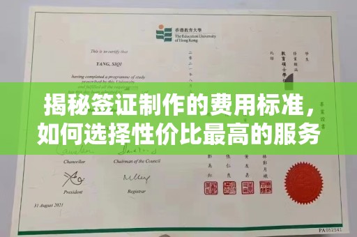 天台揭秘签证制作的费用标准，如何选择性价比最高的服务？
